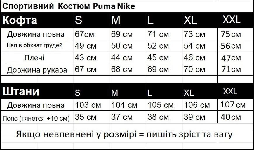 Костюм Nike змійка Костюм Nike змійка фото